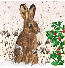 Sprakle Art Bree Merryn - Christmas - Holly