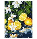 Набор для росписи по номерам "Lemon in section", холст на подрамнике, 30х40см