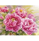 Izšūšanas komplekts krustdūrienā "Peonies", 40x30cm