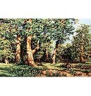 Izšūšanas komplekts krustdūrienā "The Oak Grove", 71x45cm