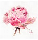 Izšūšanas komplekts krustdūrienā "Watercolor roses. Pink exquisite", 26x24cm