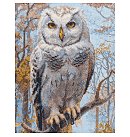 Izšūšanas komplekts krustdūrienā "Wildwood Owl", 30x40cm, 1 gab.