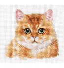 Izšūšanas komplekts krustdūrienā "Teddy Cat", 12x11cm, 1 gab.