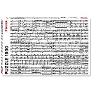 Puzle "Musical Notes", PIATNIK 1000 daļas