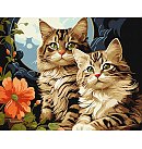Komplekts gleznošanai pēc numuriem "Adorable cats", audekls uz apakšrāmja, 40x50cm