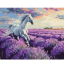 Komplekts gleznošanai pēc numuriem "In the lavender fields", audekls uz apakšrāmja, 40x50cm