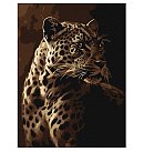 Komplekts gleznošanai pēc numuriem "The leopard's gaze", audekls uz apakšrāmja, 30x40cm