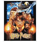 Komplekts gleznošanai pēc numuriem "Harry Potter: Poster with metallic paints", audekls uz apakšrāmja, 40x50cm