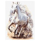 Komplekts gleznošanai pēc numuriem "Graceful power", audekls uz apakšrāmja, 30x40cm