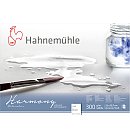 Akvareļu papīra bloks "Harmony", A4, 300g/ m2, raupja faktūra, 12 loksnes