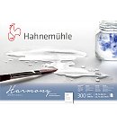 Akvareļu papīra bloks "Harmony", A3, 300g/ m2, raupja faktūra, 12 loksnes