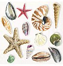 Salvetes dekupāžai "Shells", 33x33cm, 2 gab.