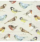 Salvetes dekupāžai "THE BIRDS cream", 33x33cm, 2 gab.