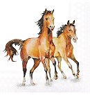 Salvetes dekupāžai "Wild horses", 33x33cm, 2 gab.