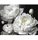 Komplekts gleznošanai pēc numuriem, "Impeccable beauty with metallic paints", audekls uz apakšrāmja,40х50cm