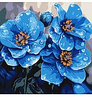 Komplekts gleznošanai pēc numuriem "Violets every morning", audekls uz apakšrāmja, 30х30cm