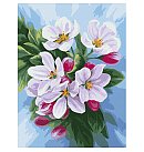 Komplekts gleznošanai pēc numuriem, "Blossoming apple treeі", audekls uz apakšrāmja, 30х40cm