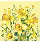 Salvetes dekupāžai "Narcissus Bouqet", 33x33cm, 2 gab.