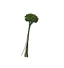 Āboļiņa lapiņas auduma M, 2,5 x 2,2 cm, dark green, (12 lapas buntē)