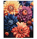 Komplekts gleznošanai pēc numuriem "Colorful dahlias ©art_selena_ua", audekls uz apakšrāmja, 40х50cm