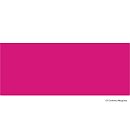 Alkohola tinte "Pinata", 14.79 ml, madženta (Senorita Magenta)