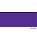Alkohola tinte "Pinata", 14.79 ml, purpurvioleta (Passion Purple)