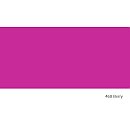 iDYE Poly textile color for synthetic fabrics, 14 g, Berry