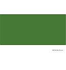 "iDYE Poly" tekstilkrāsa sintētiskiem audumiem, 14 g, zaļa (Kelly Green)