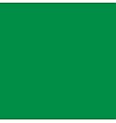 Zīda krāsa "Setasilk", 45ml, zaļa (Oriental green)