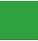 Zīda krāsa "Setasilk", 45ml, zaļa (meadow green)