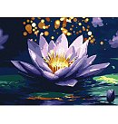 Set for painting by numbers, "Poppies in porcelain", canvas on a stretcher, 30х40cm