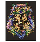 Diamond mosaic kit "Harry Potter: Coat of arms of Hogwarts", canvas on a stretcher, 30х40cm