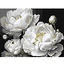 Set for painting by numbers "Impeccable beauty with metallic paints", canvas on a stretcher, 30х40cm