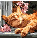 Komplekts gleznošanai pēc numuriem "Red cat on the windowsill", audekls uz apakšrāmja, 40х40cm