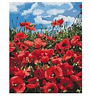 Komplekts gleznošanai pēc numuriem "Divine poppies", audekls uz apakšrāmja, 40x50cm