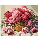 Komplekts gleznošanai pēc numuriem, "The melody of flowering", audekls uz apakšrāmja, 40х50cm
